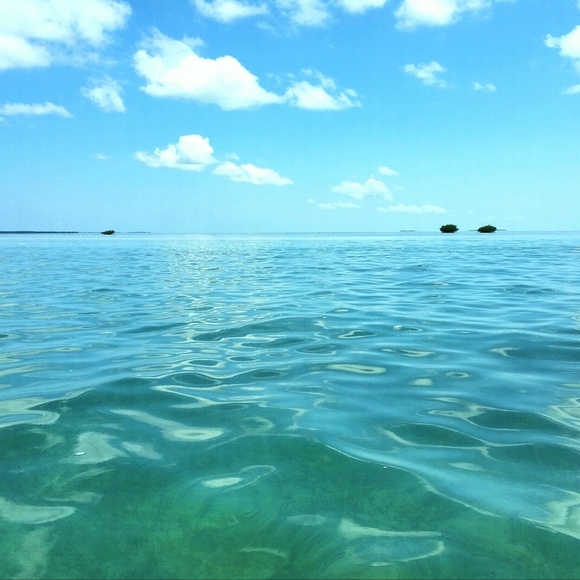 Meet your Posher, Margaruitte - Picture 1 of 1